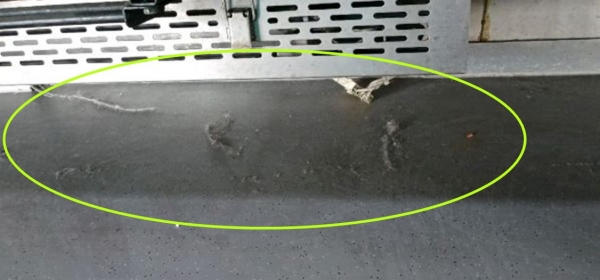의자밑에 각종 먼지 덩어리가 뭉쳐 있다