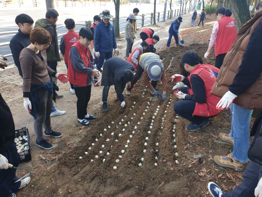 인천 중구 시민과 함께한 산책로 초화 군락지 조성
