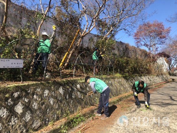 상대동 새마을협의회가 22일, 선학산 입구에 조성된 장미 거리를 정비 하고 있다. @ 진주시 제공
