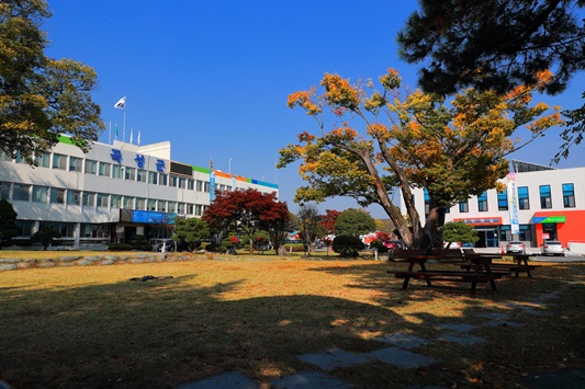 곡성군청 전경