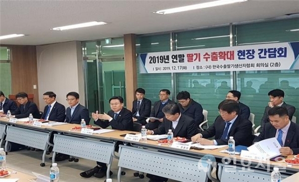2019년 연말 딸기 수출확대 현장 간담회 @ 농산물품질관리원 진주사무소 제공