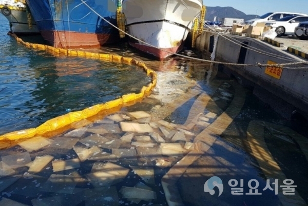 동호항 내 기름유출 오일펜스 등으로 조치를 하고 있다. @ 통영해경 제공