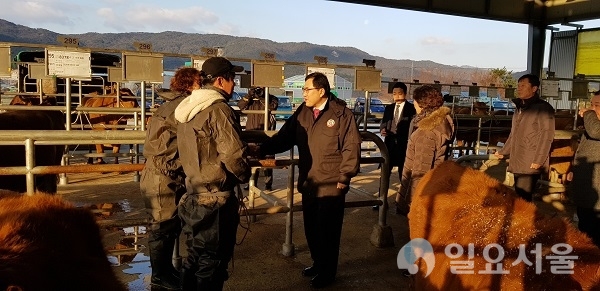 주낙영 경주시장이 13일 경주가축시장을 찾아 축산 관계자와 함께 한우 현지가격과 거래 현황 등을 살며보고 축산농가와 축산관계자들을 격려하고 있다.