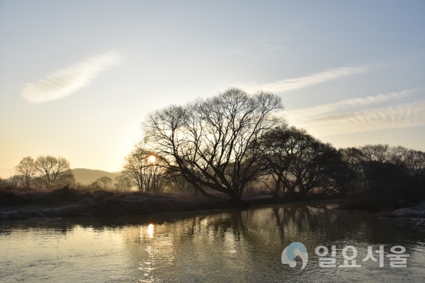 사초군락지에서 보는 일출 @ 창녕군 제공