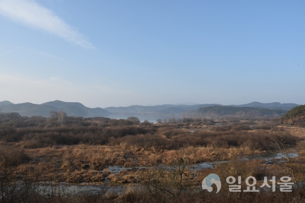 사랑나무에서 바라보는 우포늪 @ 창녕군 제공