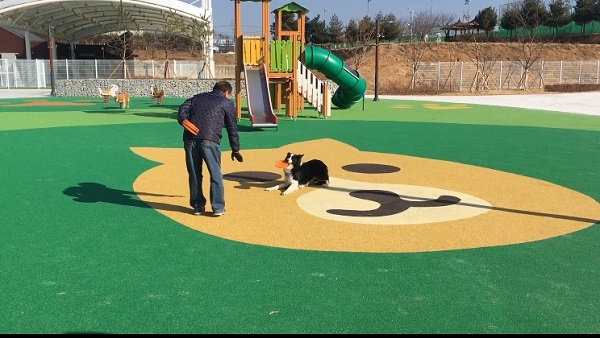 의성군 펫월드.