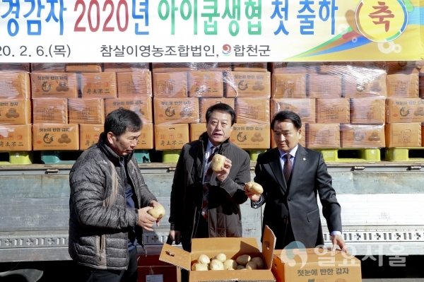 친환경 감자 아이쿱 생협 출하 현장 방문 @ 합천군 제공