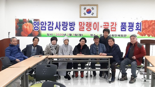 영암군 금정면에서 영암감 사랑방 품평회가 열렸다.