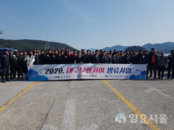 7일 산란적지인 용남면 지도해역에 대구 자어 350만미를 방류했다. @ 통영시 제공
