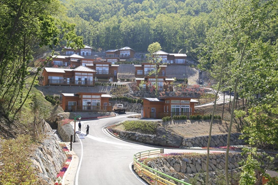 보성군, 제암산의 기운 머금은 ‘고로쇠 수액’ 휴양림 숙박객에 무료 시음중이다.