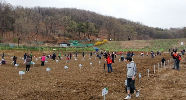 2019년 주민들이 조일골에서 농장을 가꾸기 위해 준비하고 있다.