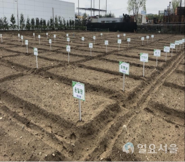 도시 속 농촌체험 공간 2019년 시민텃밭 @ 진주시 제공