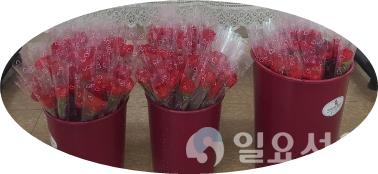 화훼농가 소비촉진 캠페인 @ 의령군 제공