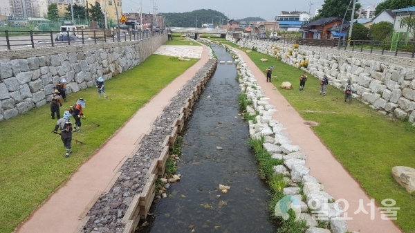 하천관리단 창녕천 환경정비 작업 @ 창녕군 제공