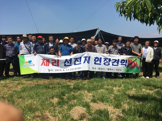 작년 진행되었던 체리 선진지 현장견학의 모습