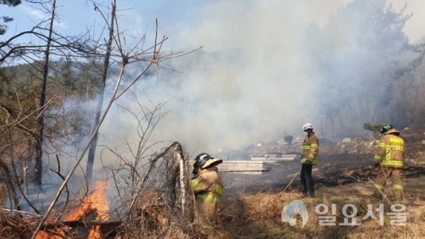 장원시 마산합포구 진전면 임야 화재 현장 @ 경상남도소방본부 제공