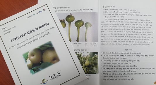나주시, 외국인 맞춤형 배 재배기술 교재 보급