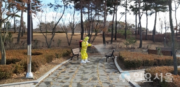연천군, 코로나19 예방을 위한 방역 전념