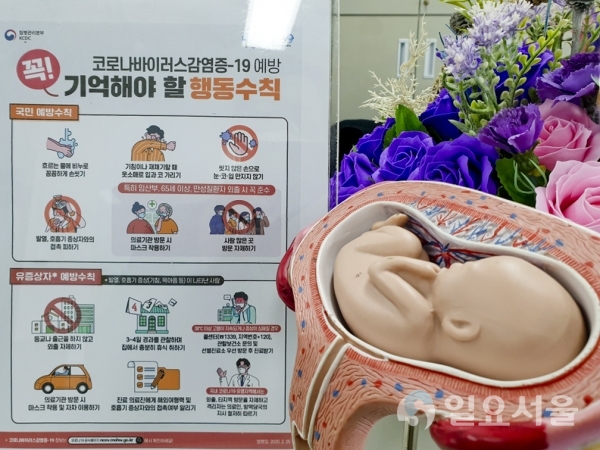 임산부 마스크 긴급배부 사진 @ 합천군 제공