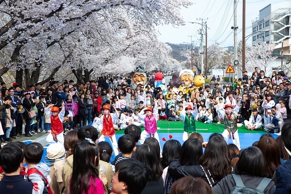 2019년 벚꽃축제.