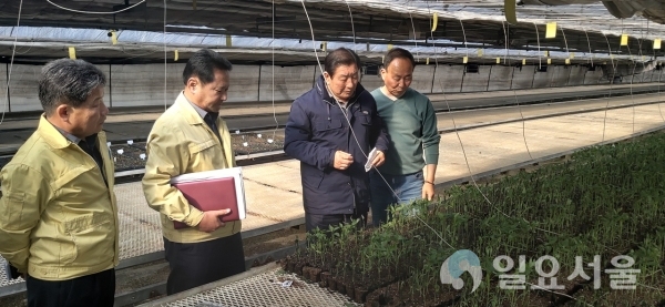 조근제 함안군수는 지난 11일, 함안군 가야읍 산서리 소재 그린육묘장 화재 현장을 방문해 피해상황을 점검했다. @ 함안군 제공