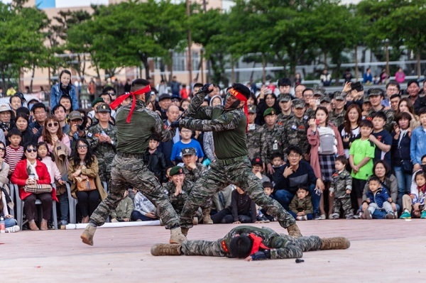 포항해병대문화축제 & 포항국제불빛축제(사진=지난해 해병대문화축제).