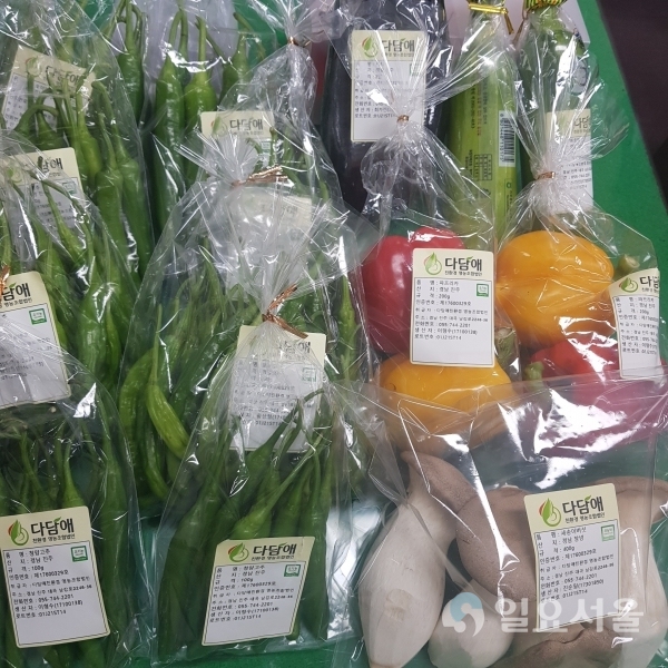 지역 친환경농산물 팔아주기 운동 @ 진주시 제공