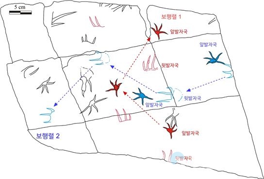 진주혁신도시에서 발견된 악어 발자국 화석 분포도