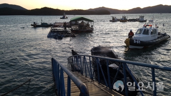지난 19일 오후 6시 8분경 경남 통영시 도산면 동보방파제파제의 바지선 등 선박 13척에 화재가 발생해 소방과 합동으로 진화했다. @ 통영해경 제공