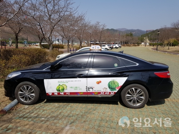 의령군은 23일부터 군내 모든 법인과 개인택시 66대에 대해 새롭게 디자인한 LED 택시표시등으로 교체해 운행한다. @ 의령군 제공