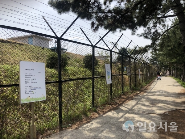 상대동 주민자치위원회에서는 지난 30일, 상대 배수장에서 올라가는 선학산 등산로 입구에 도동 옛 사진 및 시화거리 조성을 완료했다. @ 진주시 제공
