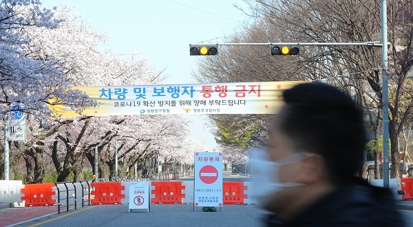 사진은 지난 6일 코로나19 영향으로 여의도 윤중로 벚꽃축제가 전면 취소된 서울 여의도에 통제된 윤중로 벚꽃길 앞을 한 시민이 마스크를 하고 걷고 있다. [뉴시스]