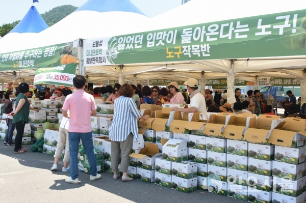 미니단호박 판매 @ 남해군 제공