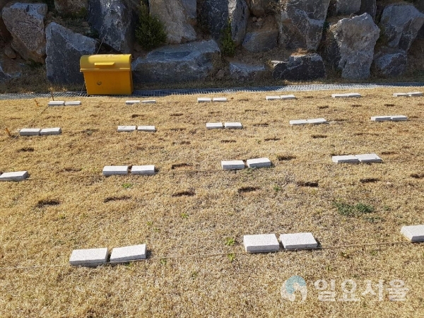 내촌공설자연장지 부부 합장묘 전경