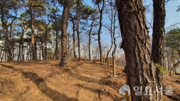 파주시, 유아숲체험원 신규 조성