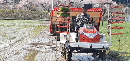 전남 보성군 율어면에서 첫 모내기가 시작됐다.
