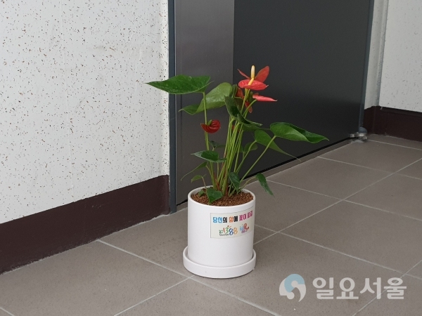 의령군청소년상담복지센터 ‘사랑의 화분 나누기’ 행사 @ 의령군 제공