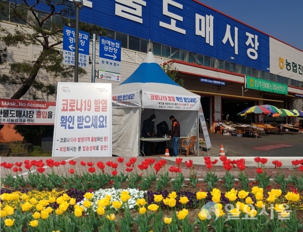 진주시농산물도매시장 '코로나19' 발열확인 부스 운영 및 튤립 화단 전경 @ 진주시 제공