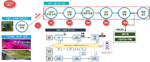 규제자유특구 사업체계도.