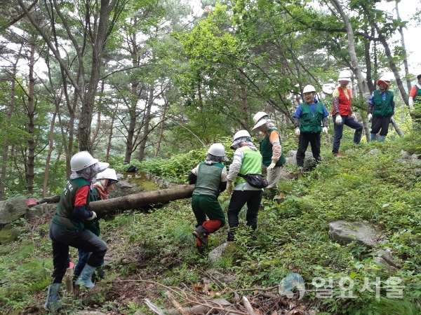 함양군은 '코로나19'로 인한 실업, 소득 감소로 생계위협을 받는 군민들을 위해 공공일자리를 확보하고 곳곳에 배치해 지역경제 활성화를 위해 앞장서고 있다. @ 함양군 제공