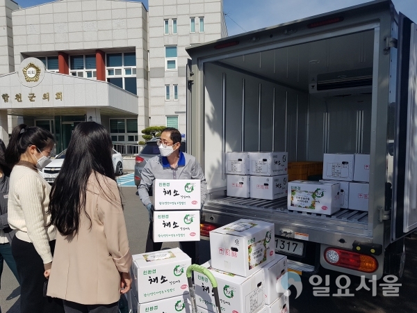 합천군은 '코로나19' 장기화로 개학이 연기됨에 따라 학교급식을 제때 납품하지 못해 어려움에 처해있는 학교급식용 지역 친환경 농산물 생산 농가들을 돕기 위해 친환경농산물 팔아주기 운동에 동참했다. @ 합천군 제공