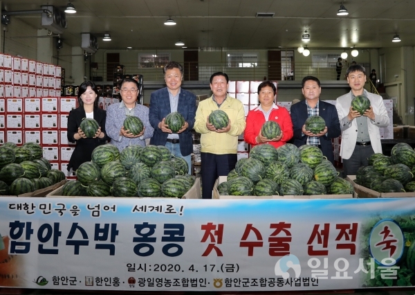 함안수박 홍콩 수출 선적 @ 함안군 제공