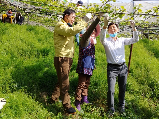 전남 보성군, 코로나19 극복을 위해서 공직자 농촌 일손돕기를 진행했다.