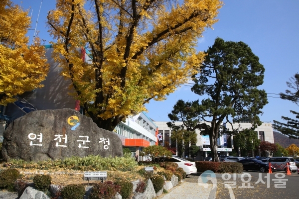 연천군 마당개 중성화 수술비 지원 사업 실시