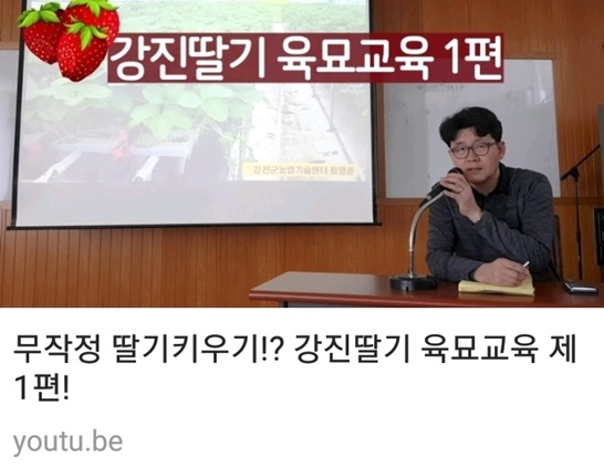 강진군농업기술센터에서 게재한 딸기육묘교육 동영상 모습