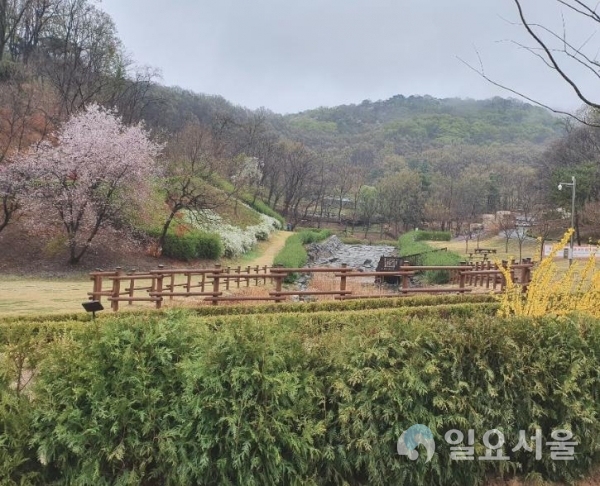 울곡수목원 개방