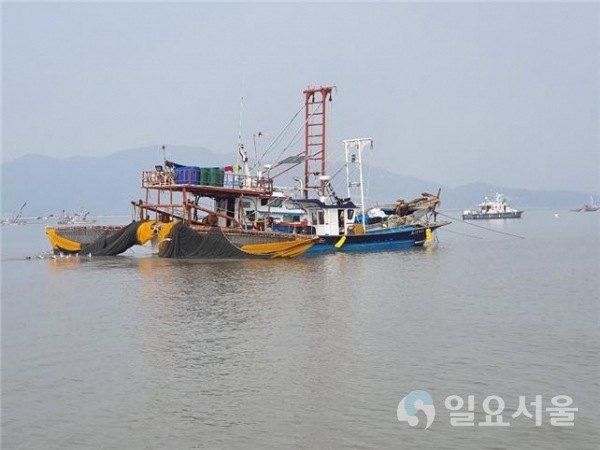 강화군 젓새우 조업사진