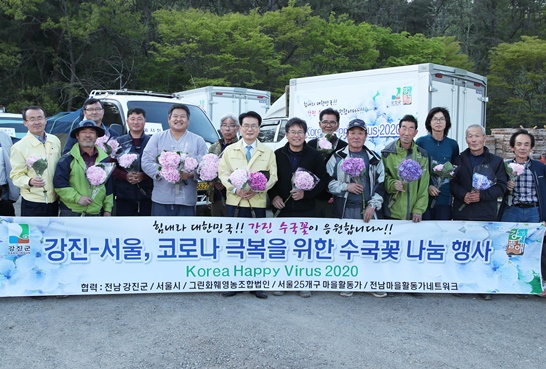 강진수국 꽃 나눔 배송 현장 사진