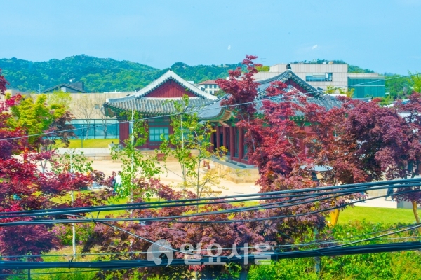 [사진=황기현 기자]