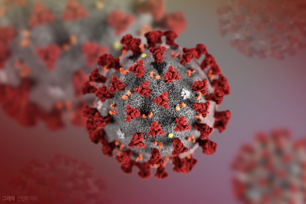 코로나19 신종 코로나바이러스 [뉴시스]